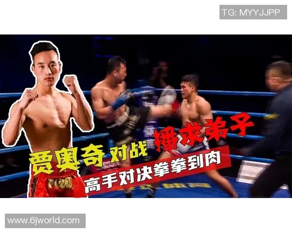 达姆斯与波鸿激战正酣双方争夺关键积分展现精彩对决